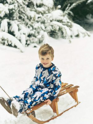 Everyday Printed Sweatshirt-Directoire Blue Yetti