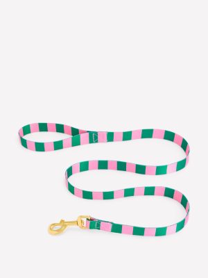 Dog Lead-Green/Pink Stripe